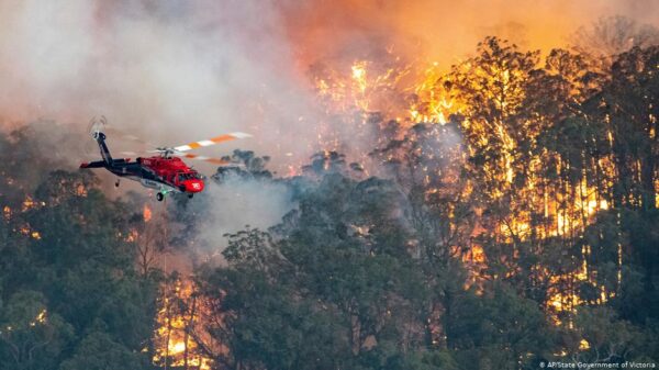 New evidence shows forest fires, logging and land clearance are creating an environmental crisis in Australia.