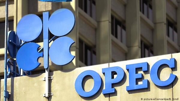 Oil analyst discusses the OPEC+ deal to curb oil supply next month and concerns about lockdowns' impact