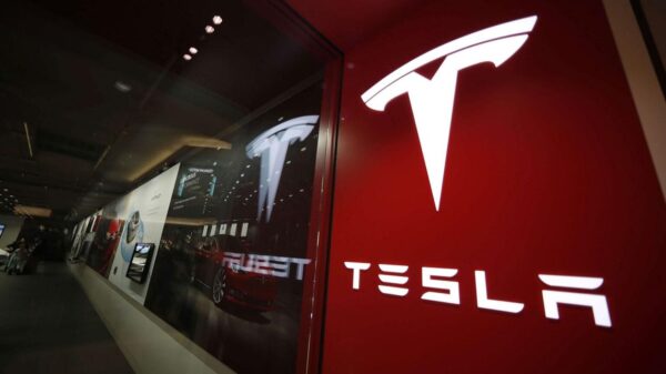 Tesla Inc.'s short sellers lost tens of billions of dollars last year as the stock surged to new highs.