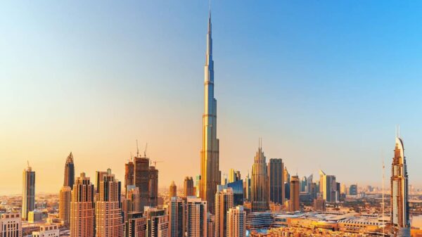 النشاط التجاري