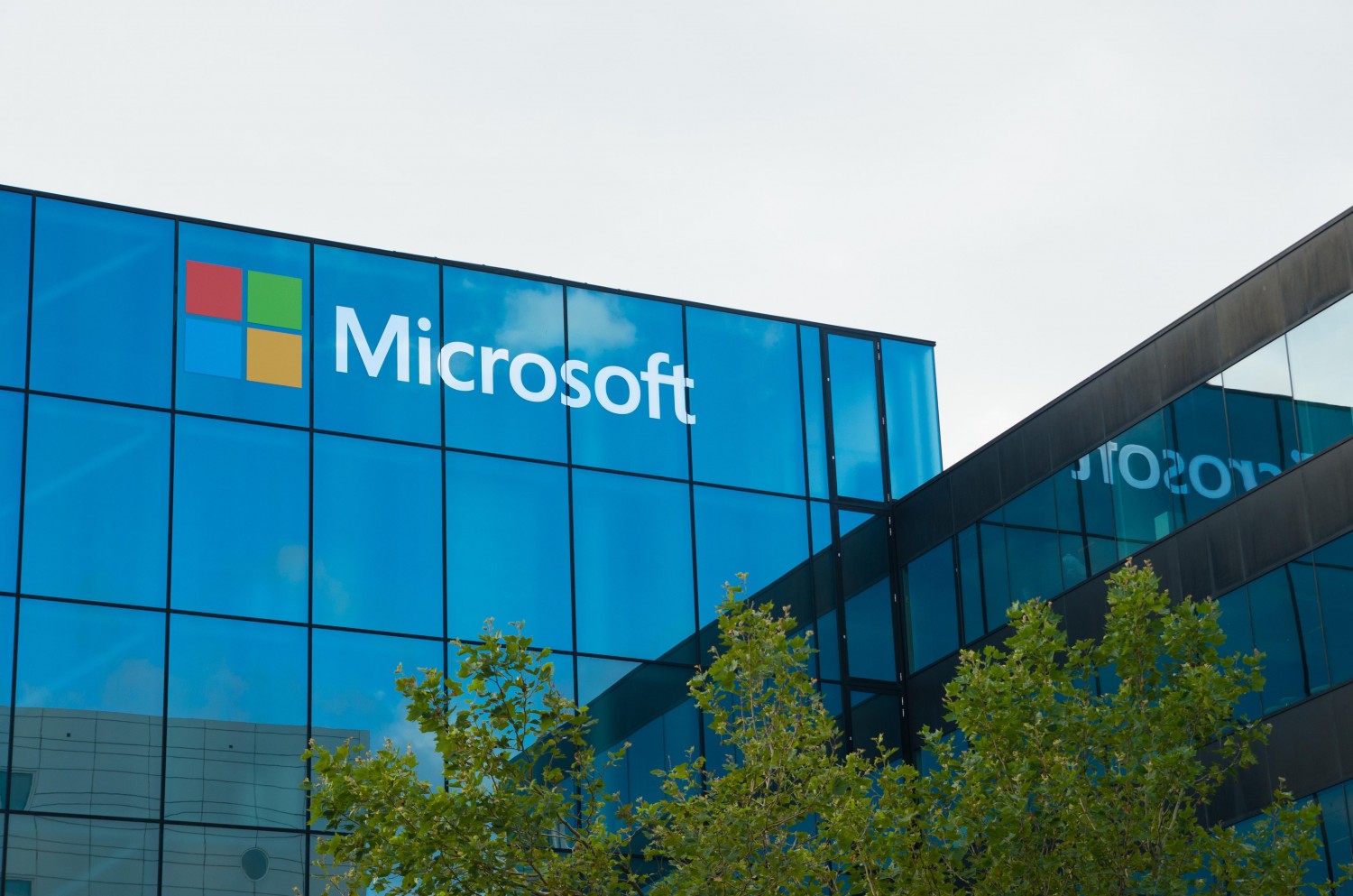 Microsoft في الشرق الأوسط وأفريقيا
