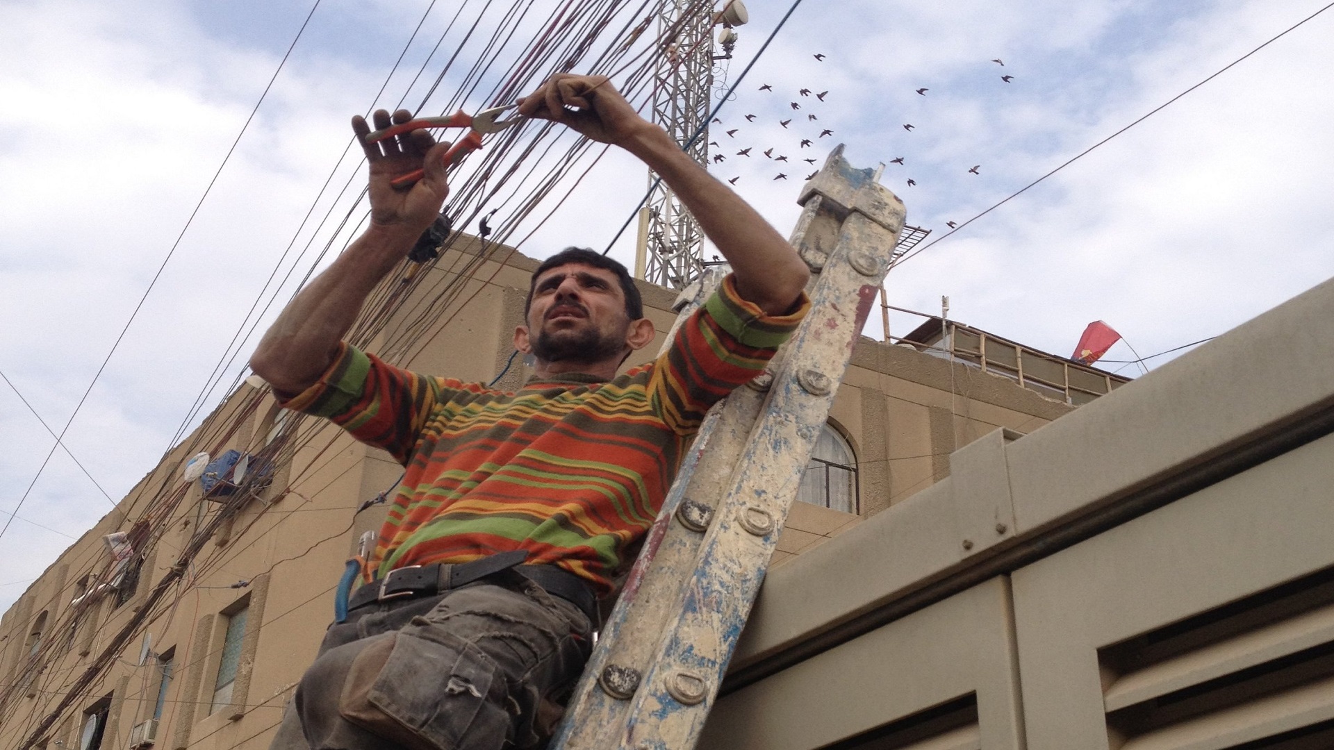 وزارة الكهرباء العراقية