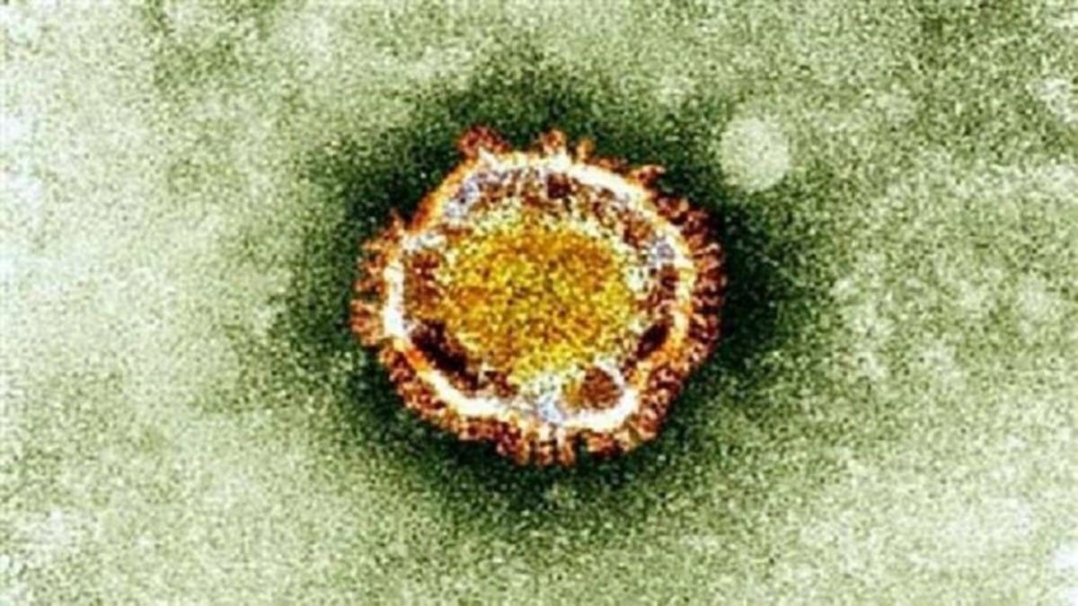 فيروس نيباه