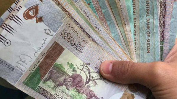 Cash flows Sudan