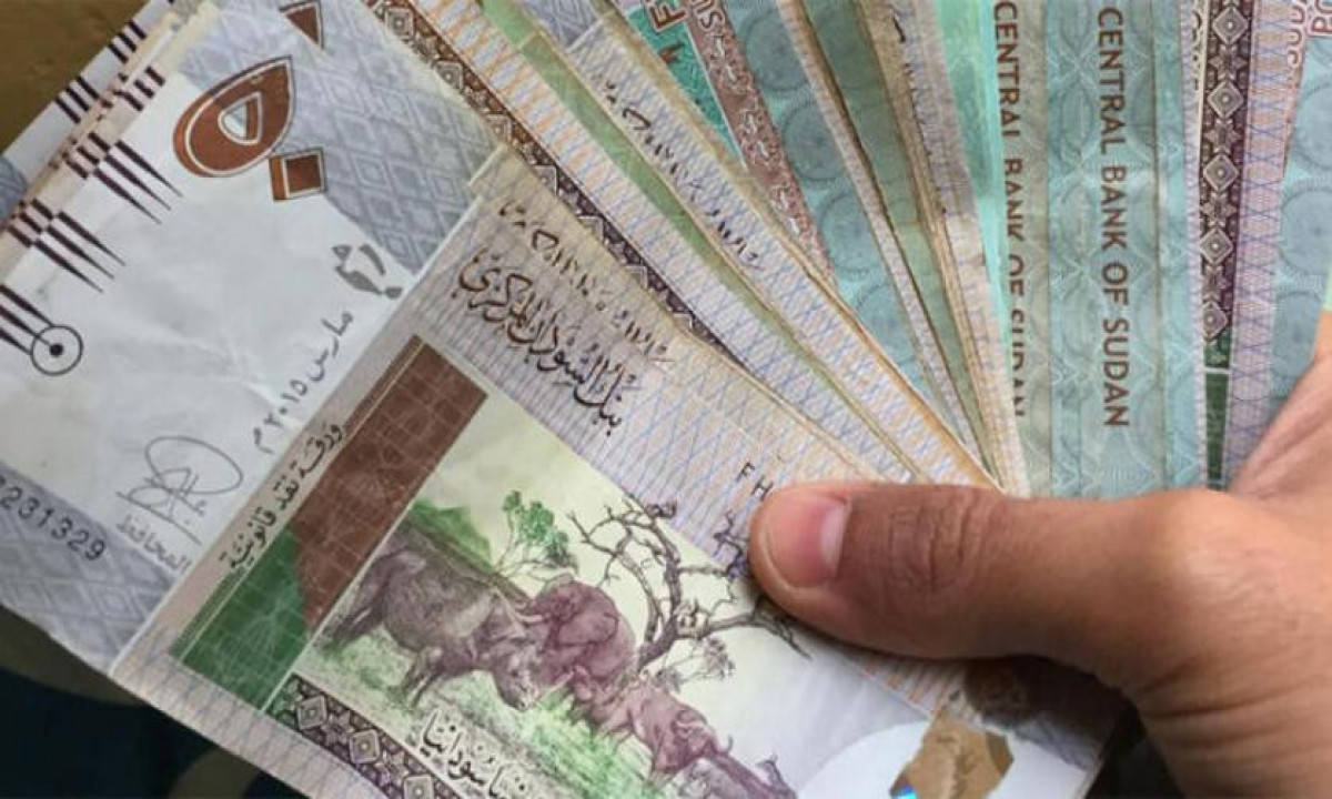 Cash flows Sudan
