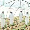 قطر تتصدر الدول العربية في جودة الإنتاج الغذائي