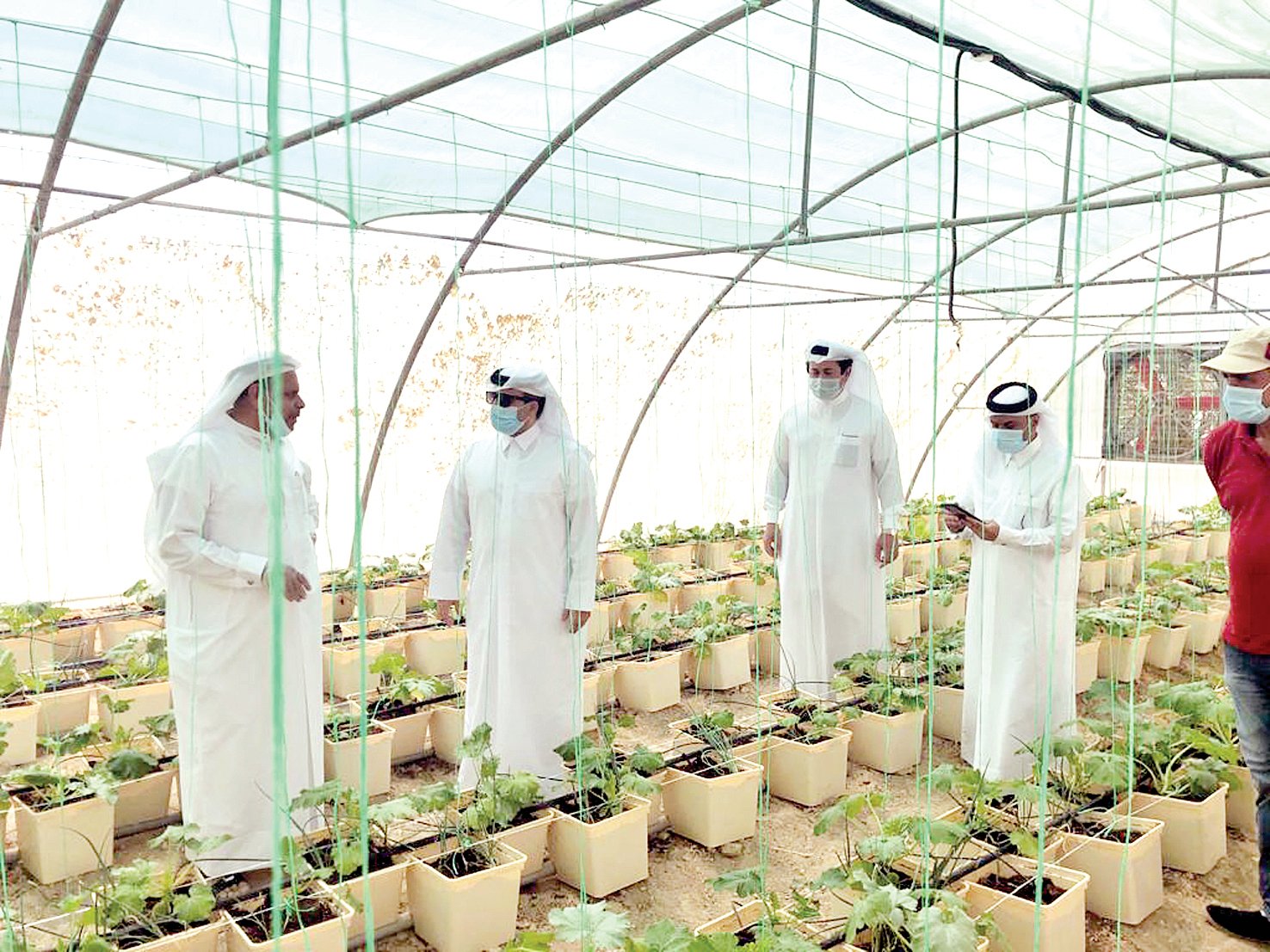 قطر تتصدر الدول العربية في جودة الإنتاج الغذائي