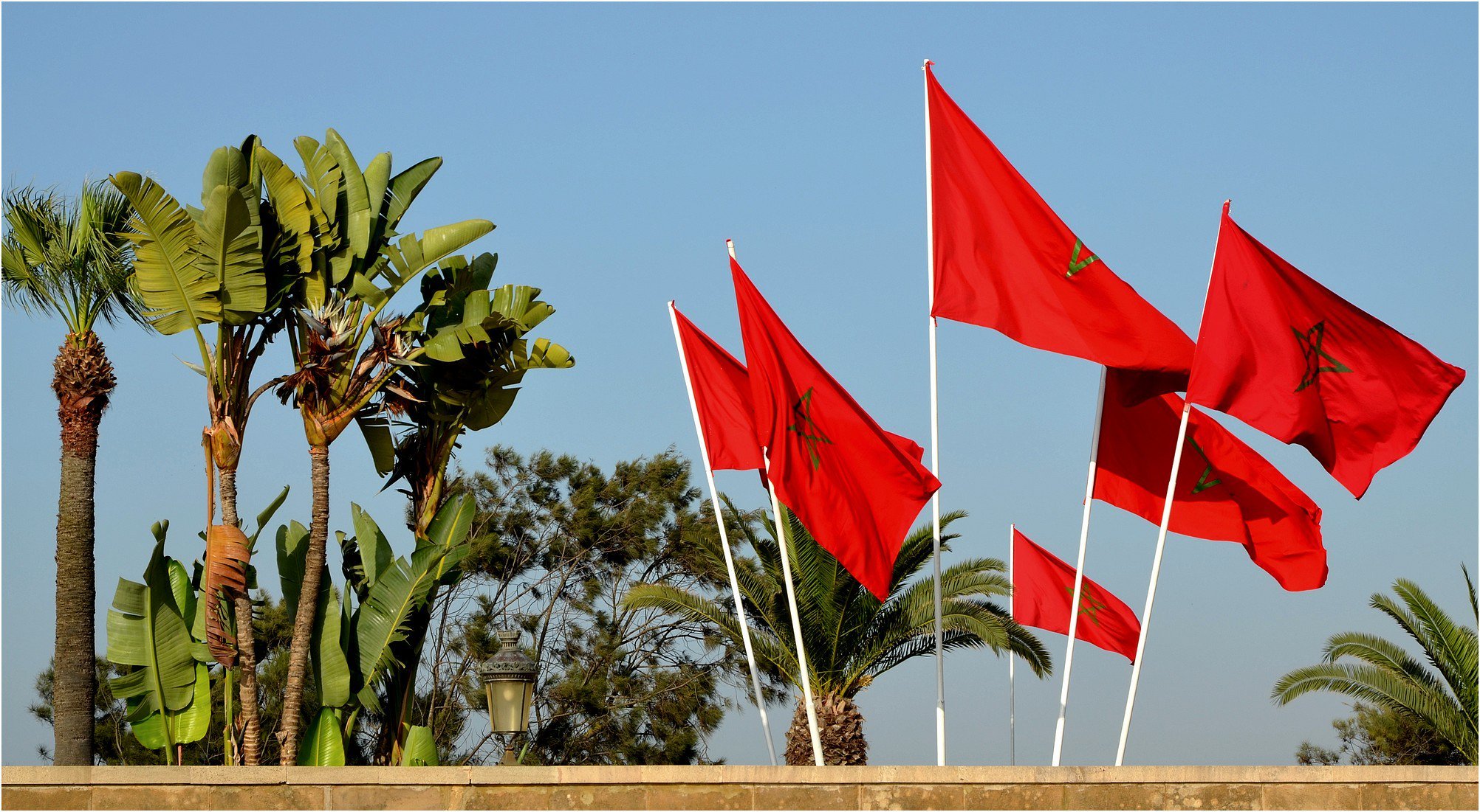 اقتصاد المغرب