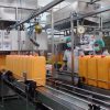 نقص العمالة يُفقد ماليزيا 3.4 مليار دولار في إنتاج نخيل الزيت