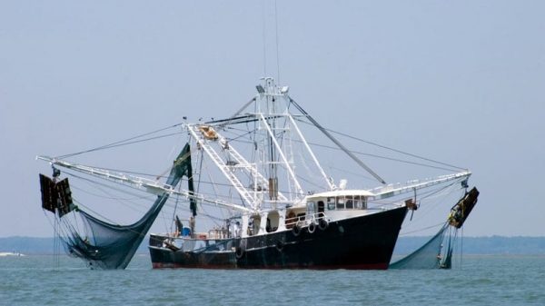 Fishing vessels