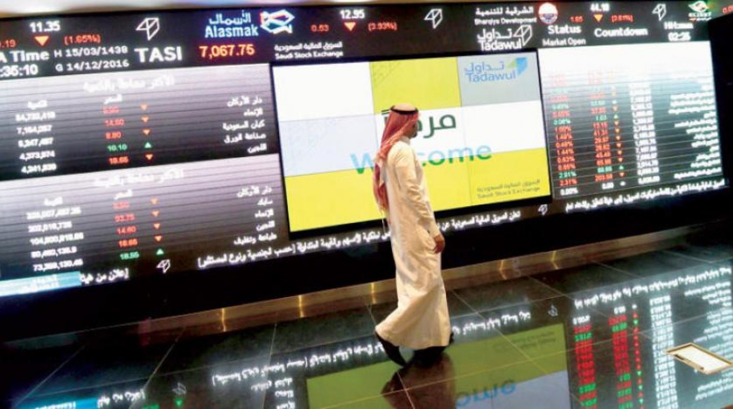 سوق المال السعودية تدرج 29 شركة لها خلال العام الجاري