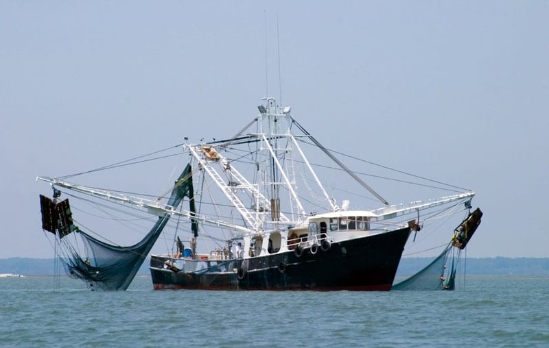سفن الصيد