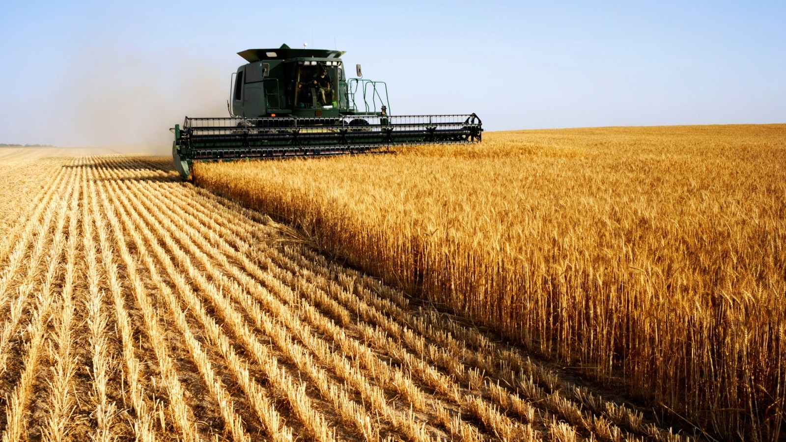 أوكرانيا: محصول الحبوب أقل من مستواه بسبب الحرب