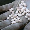 السعودية تحبط عملية تهريب كمية ضخمة من مخدر الكبتاغون