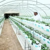 وكالة ترويج الاستثمار تشيد بتقدّم قطر في التكنولوجيا الزراعية