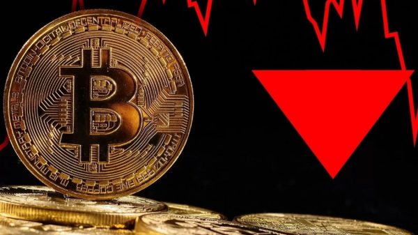 سعر البيتكوين
