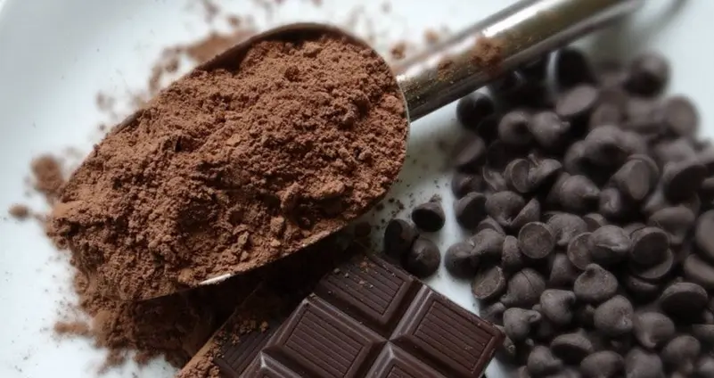 الشوكولاتة