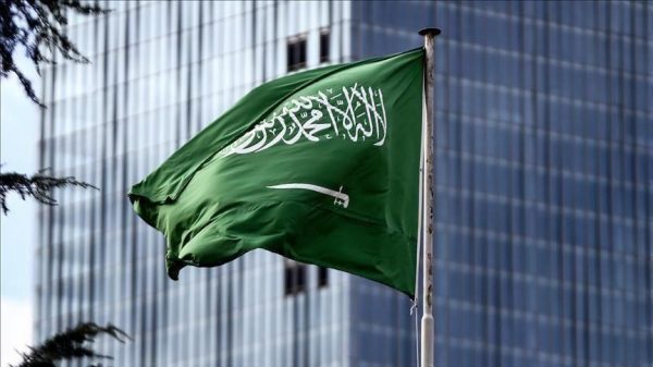 المالية السعودية