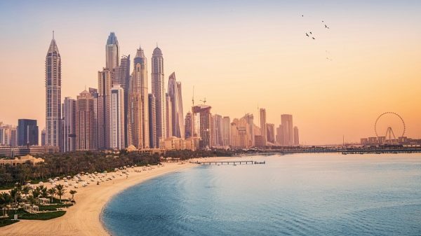 المجالس المستقبلية