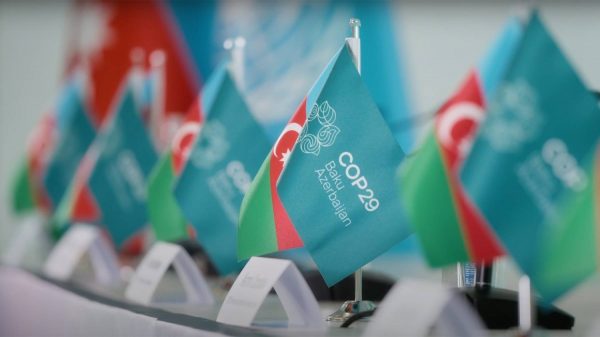 كوب29