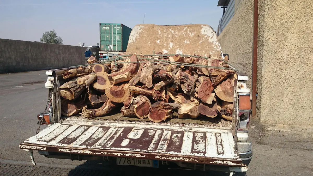 نار واحدة… وحكايتان